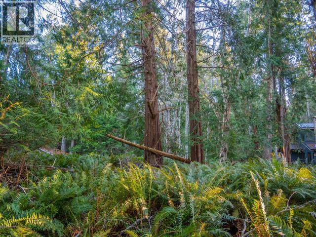 1136 HERCHMER ROAD, Savary Island