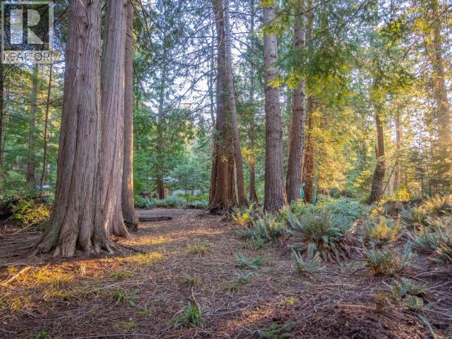 1136 HERCHMER ROAD, Savary Island