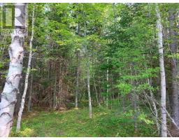 Lot 8 Beaver Lane, Grantville, NS B0E1J0 Photo 6