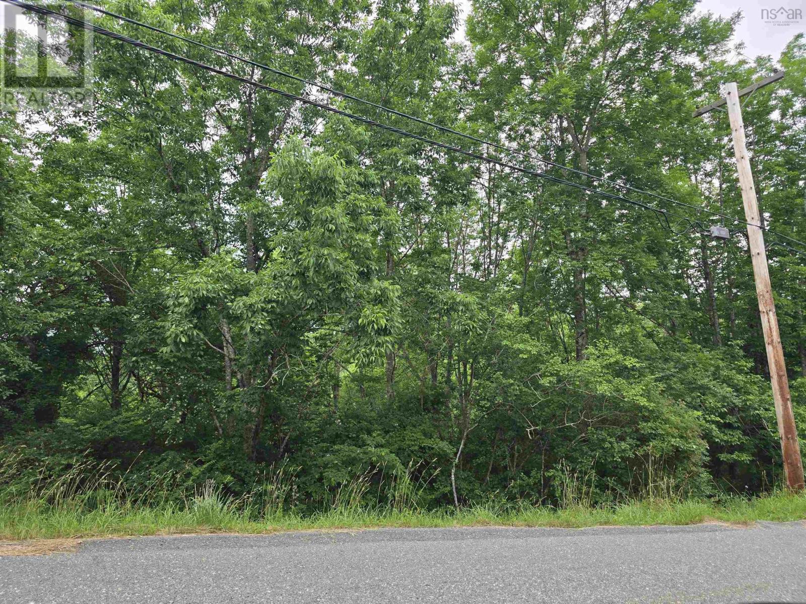 Property 4 of 5 of Centennial Avenue