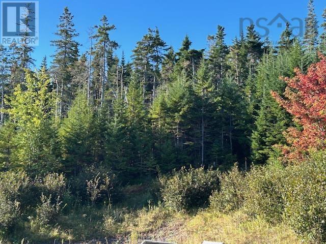 Property 5 of 6 of Lot 2024-2 Grenville Street