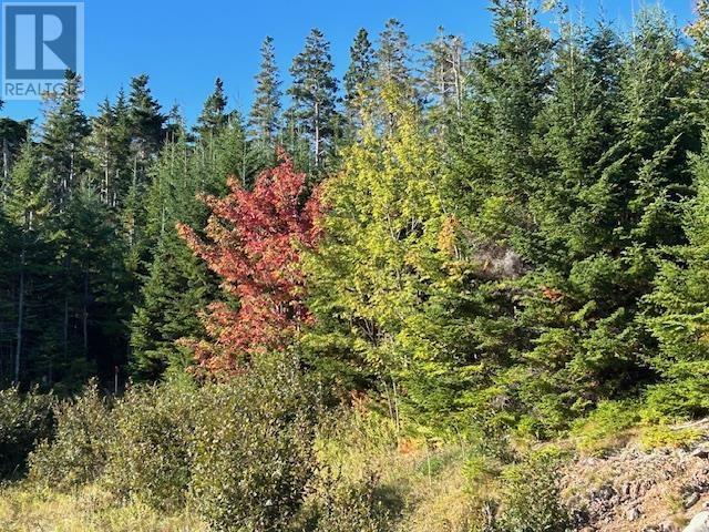 Property 6 of 6 of Lot 2024-2 Grenville Street