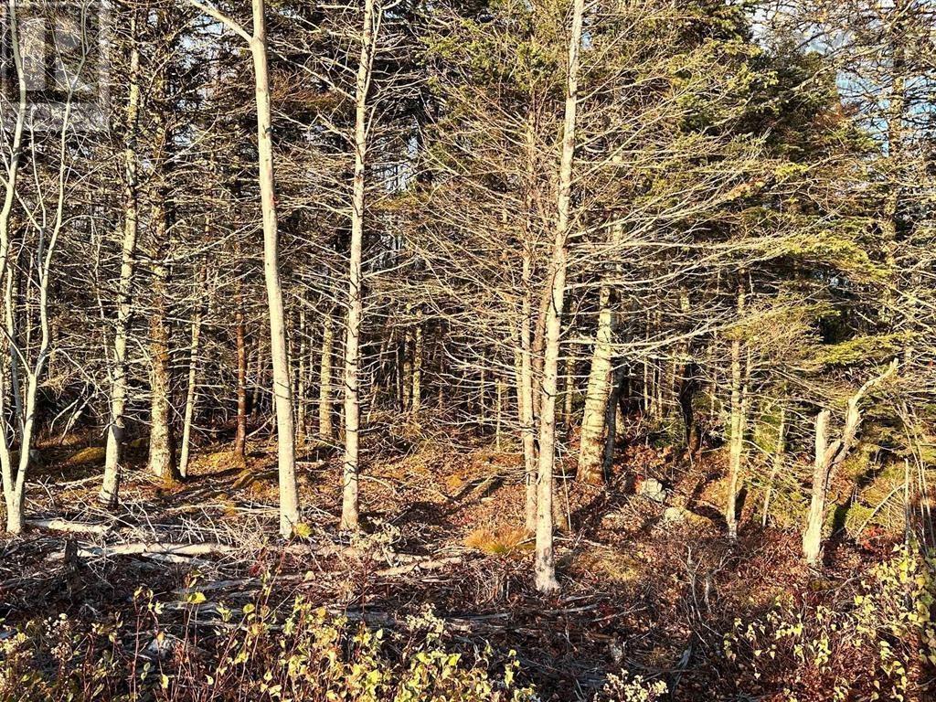 Property photo of Lot 9 Shore Road