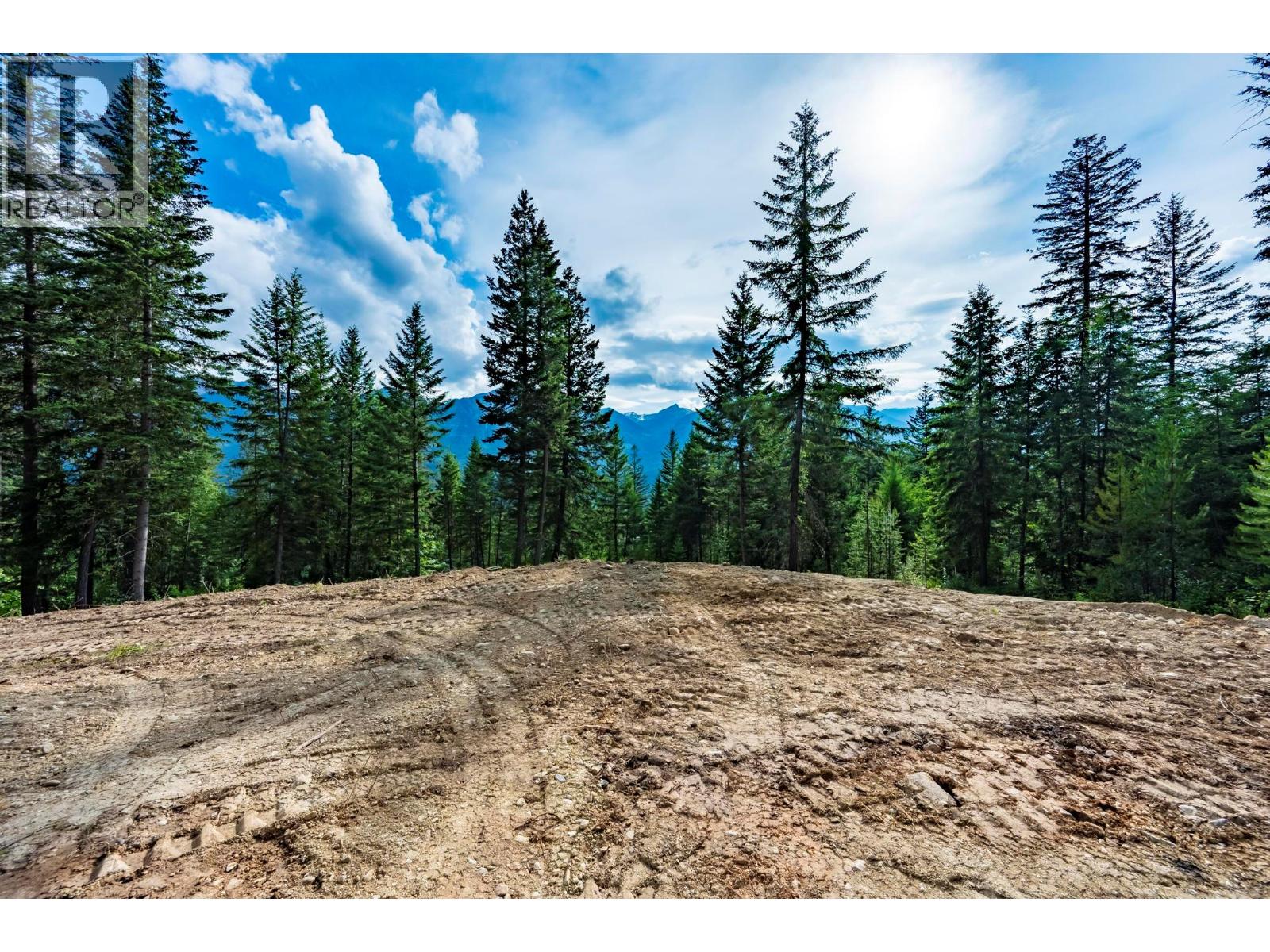 LOT 31 COUGAR DRIVE - 4