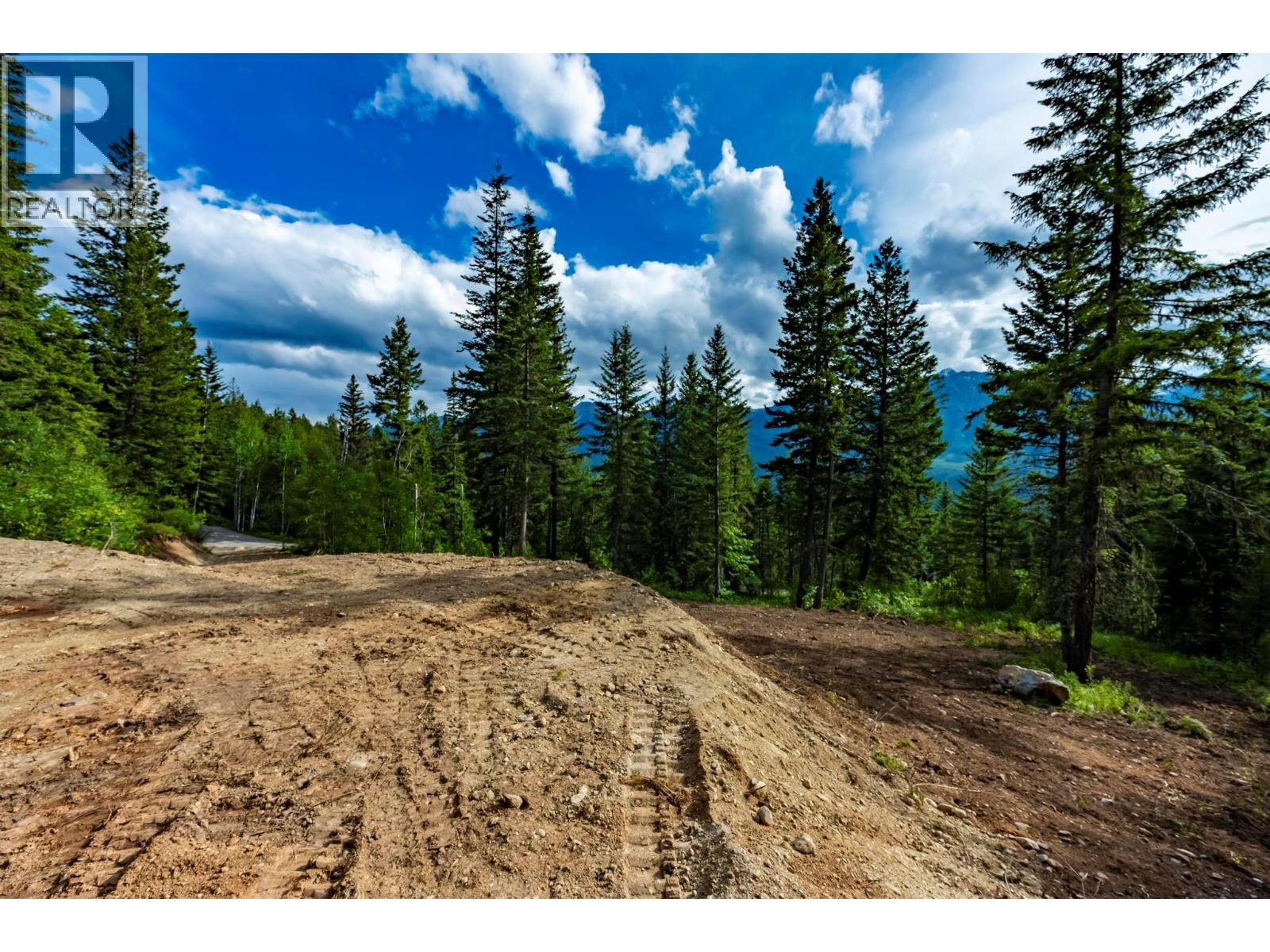 LOT 31 COUGAR DRIVE - 5