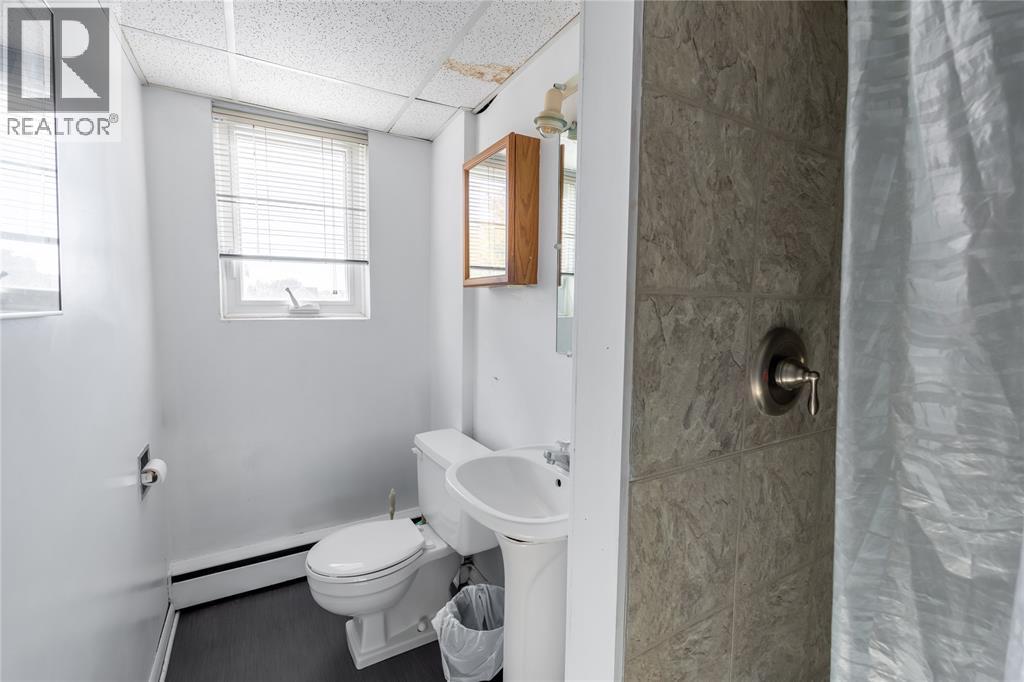 219 LOCHIEL STREET, Sarnia, Ontario, N7T4C8 — Photo 15