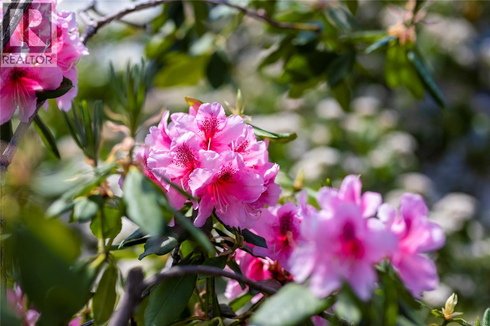 307 5620 Edgewater Lane, Nanaimo