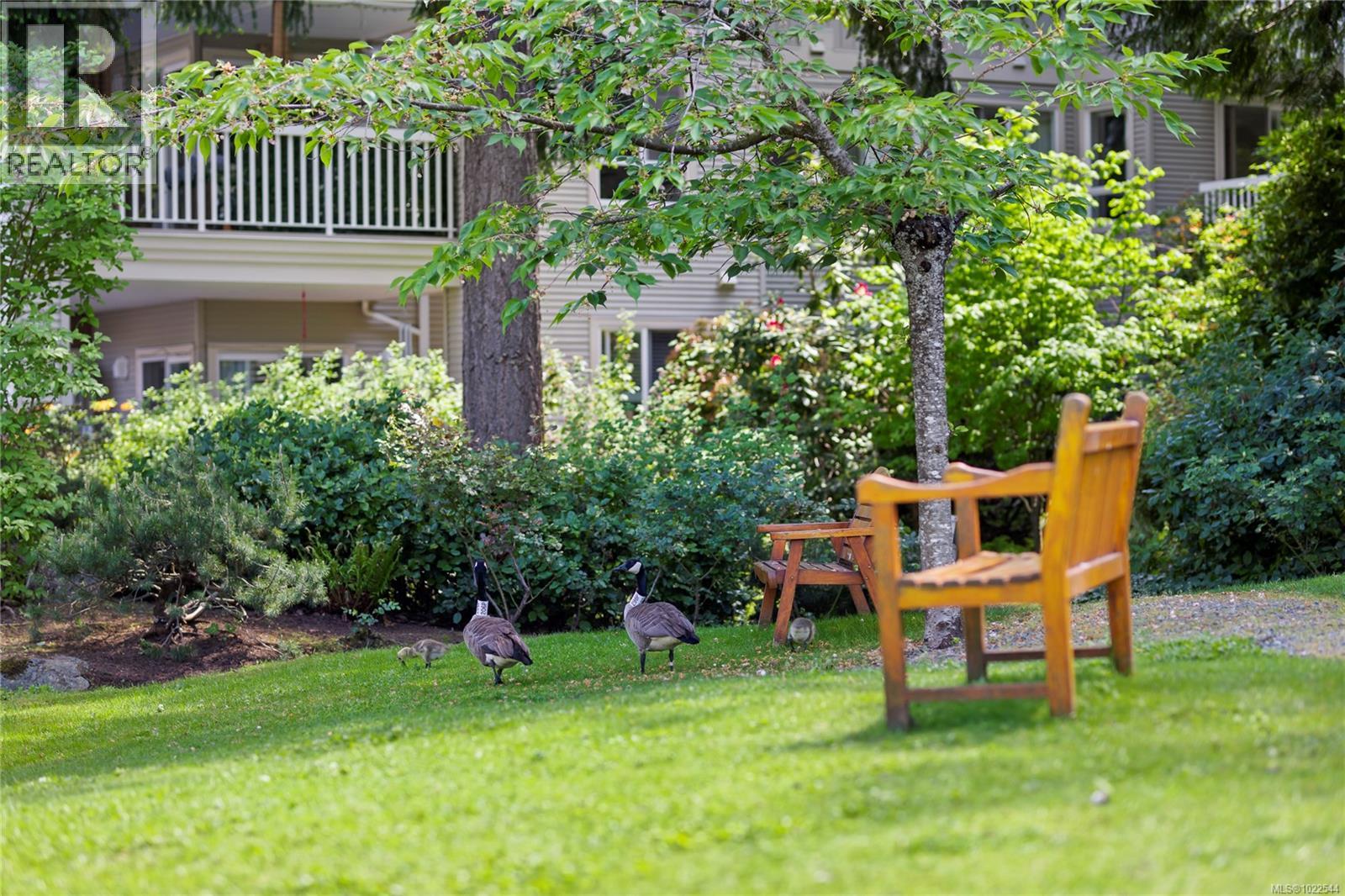 307 5620 Edgewater Lane, Nanaimo