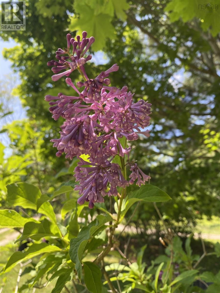 Property 38 of 48 of 121 Barkhouse Road