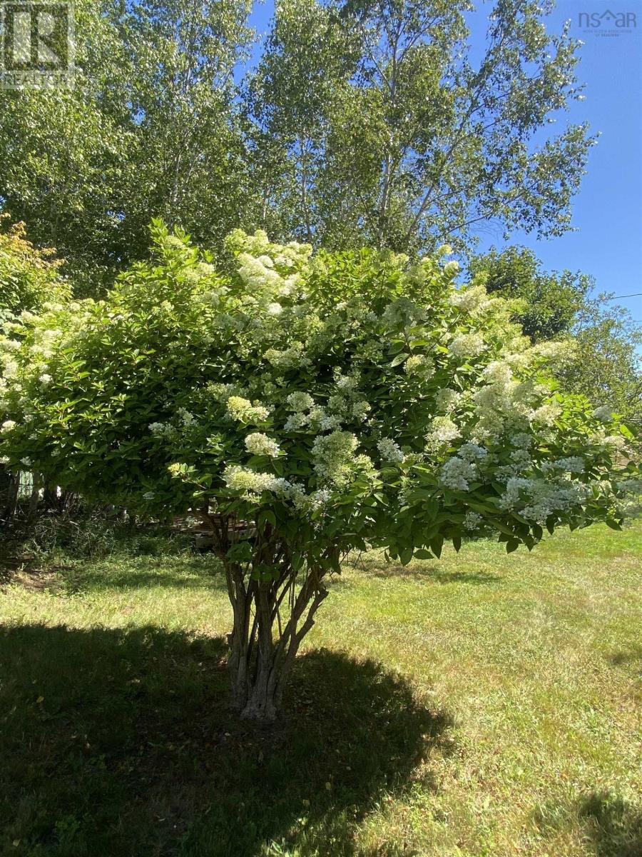 Property 43 of 48 of 121 Barkhouse Road