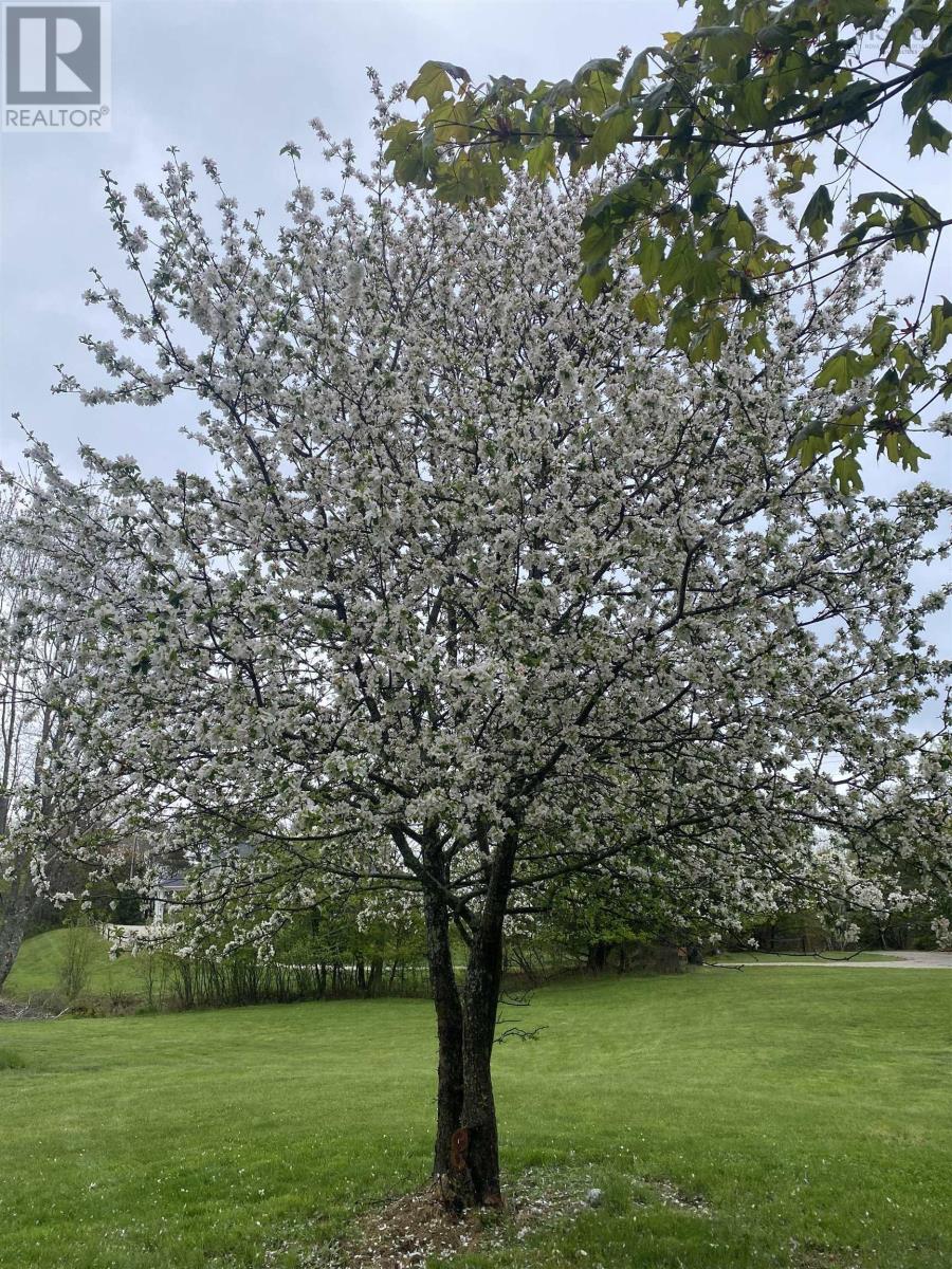 Property 33 of 48 of 121 Barkhouse Road