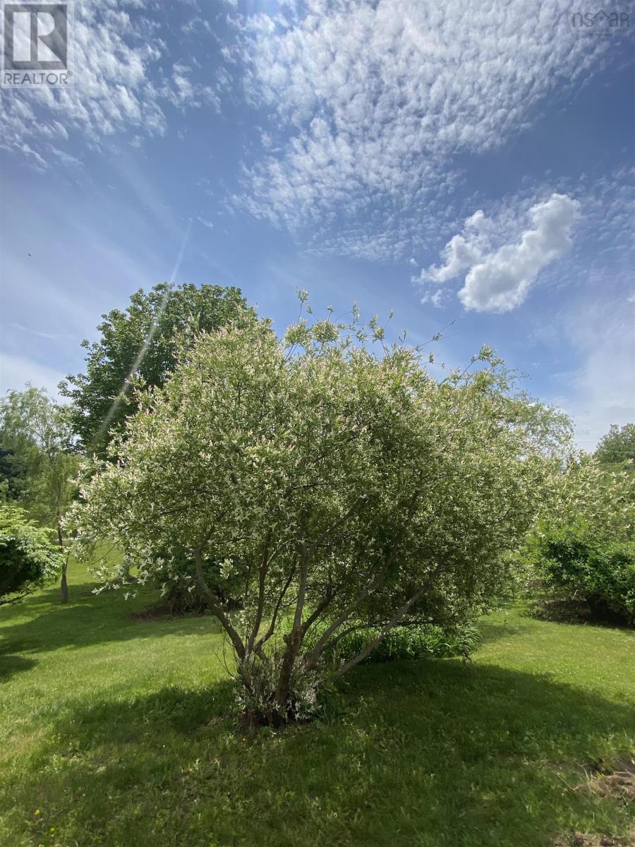 Property 35 of 48 of 121 Barkhouse Road