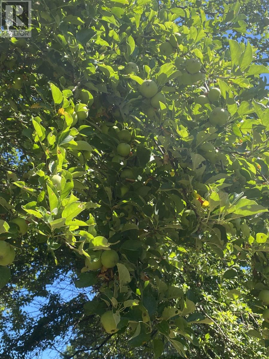 Property 44 of 48 of 121 Barkhouse Road