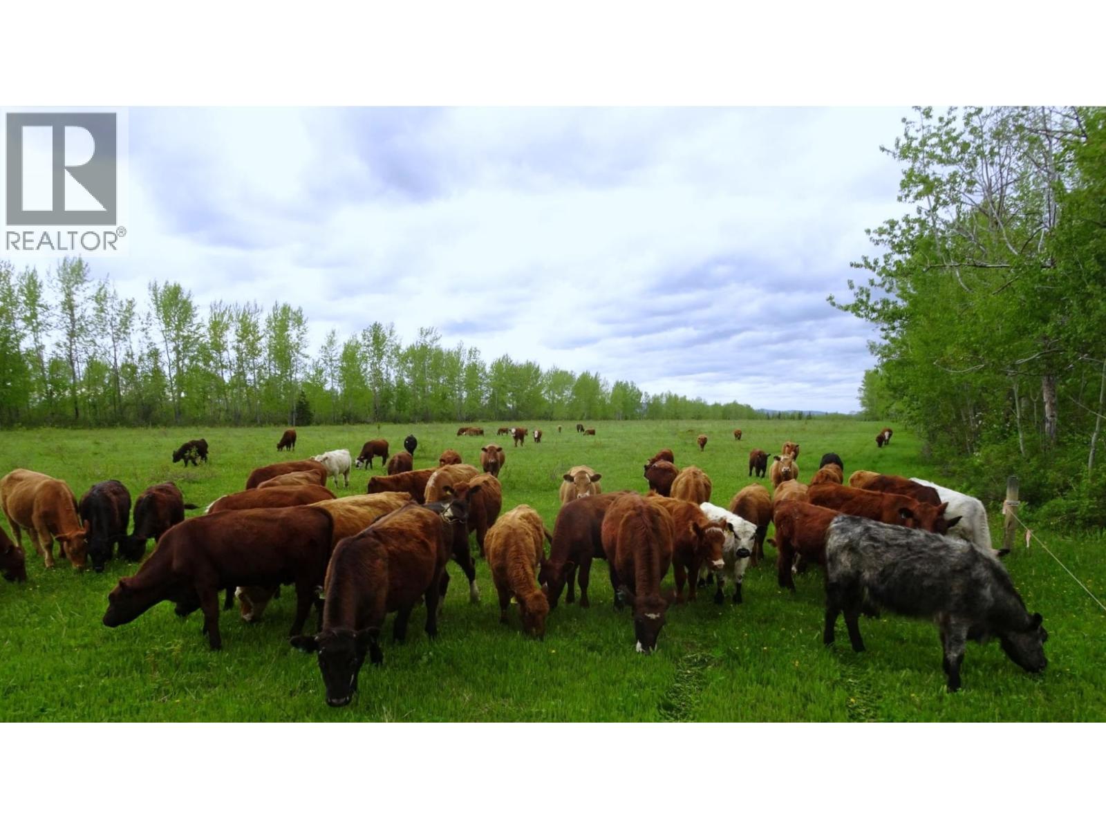 DL5277 DAY ROAD - 39