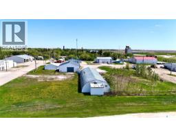 109 Mcgregor Street, Davidson, SK S0G1A0 Photo 43