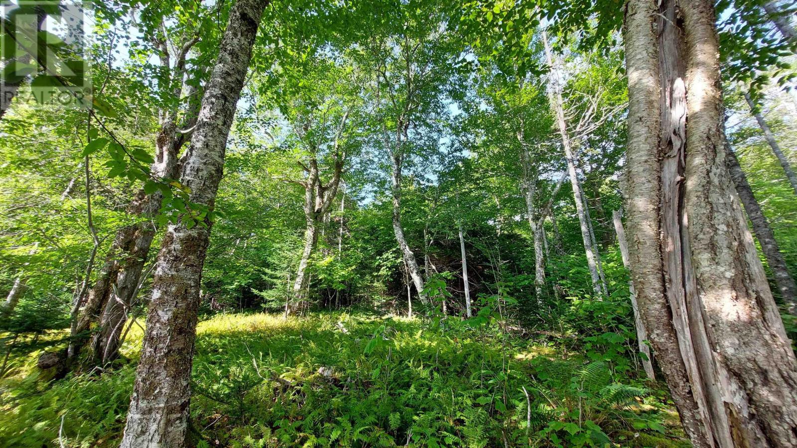 Property 18 of 22 of Lot 1A-3 Birch Crescent