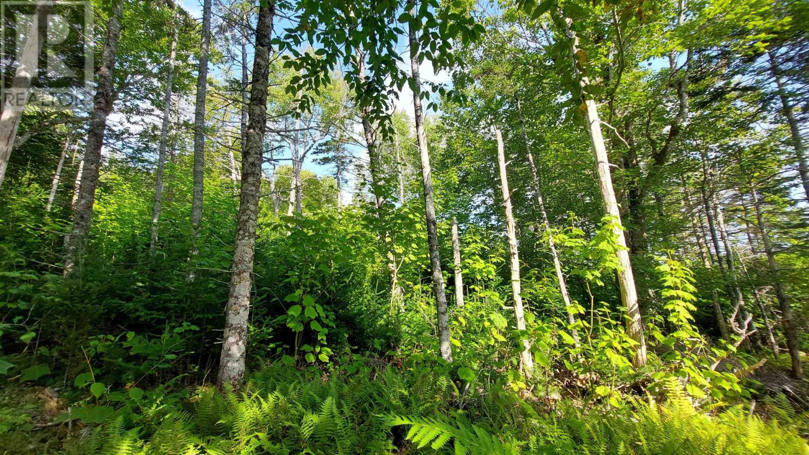 Property 17 of 22 of Lot 1A-4 Birch Crescent