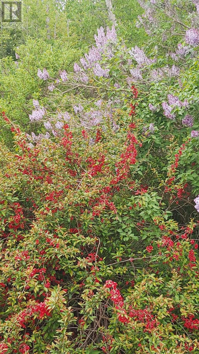 Property 8 of 39 of 624 Salem Cross Road