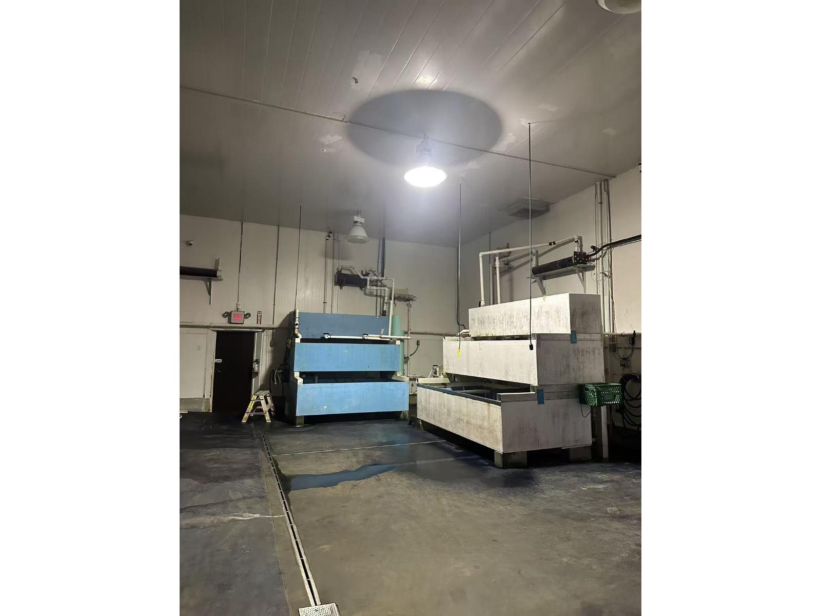 10A 8145 130 STREET, Surrey