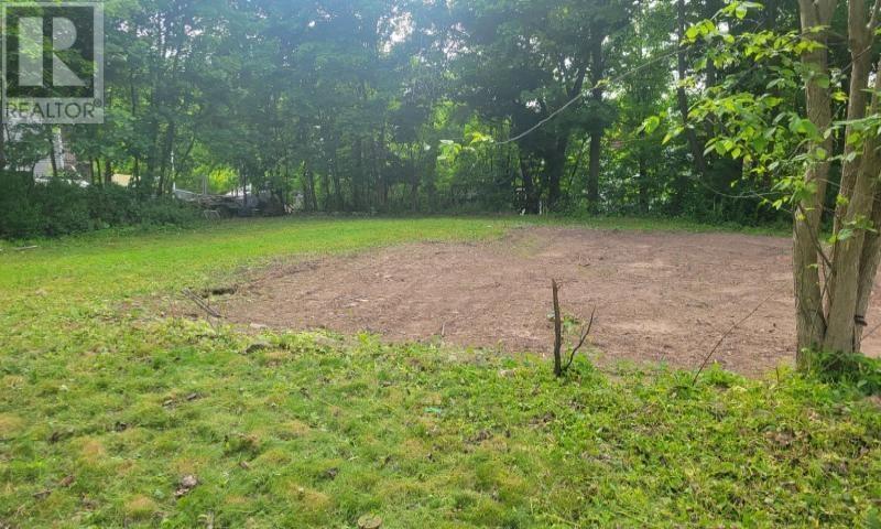 Property 8 of 19 of 89 MacKay Street