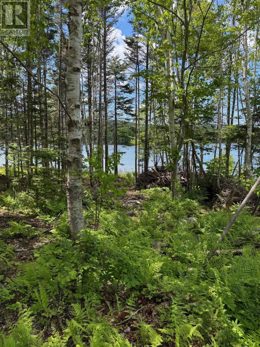 Property 39 of 49 of 284 Rodney Drive