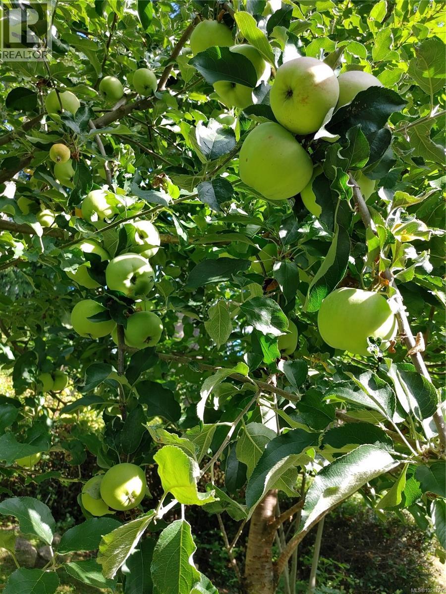 9644 Lakeshore Rd, Port Alberni