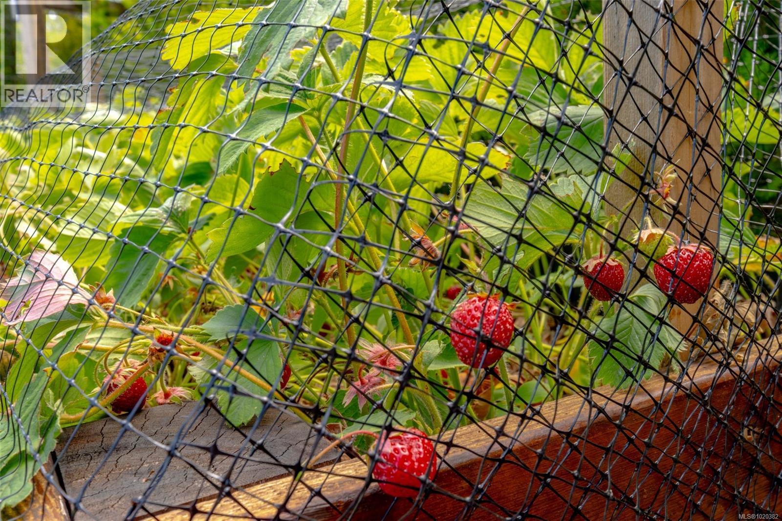 108 Allview Lane, Bowser