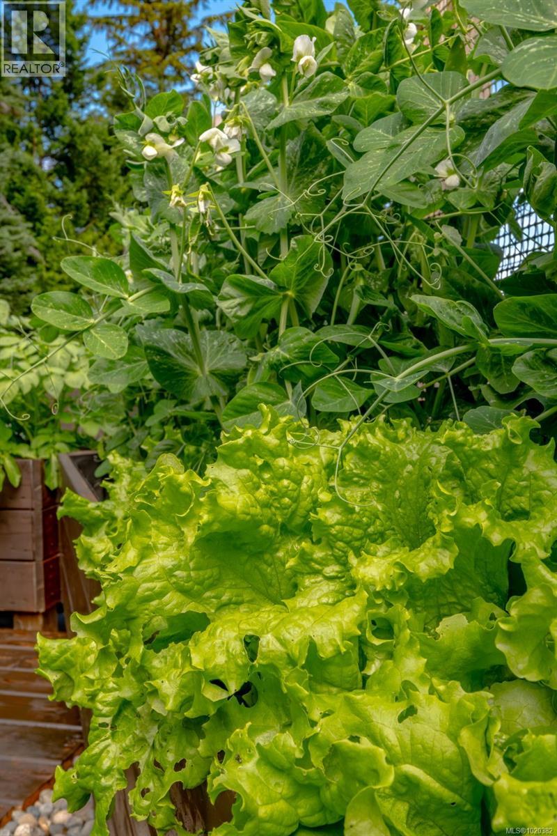 108 Allview Lane, Bowser