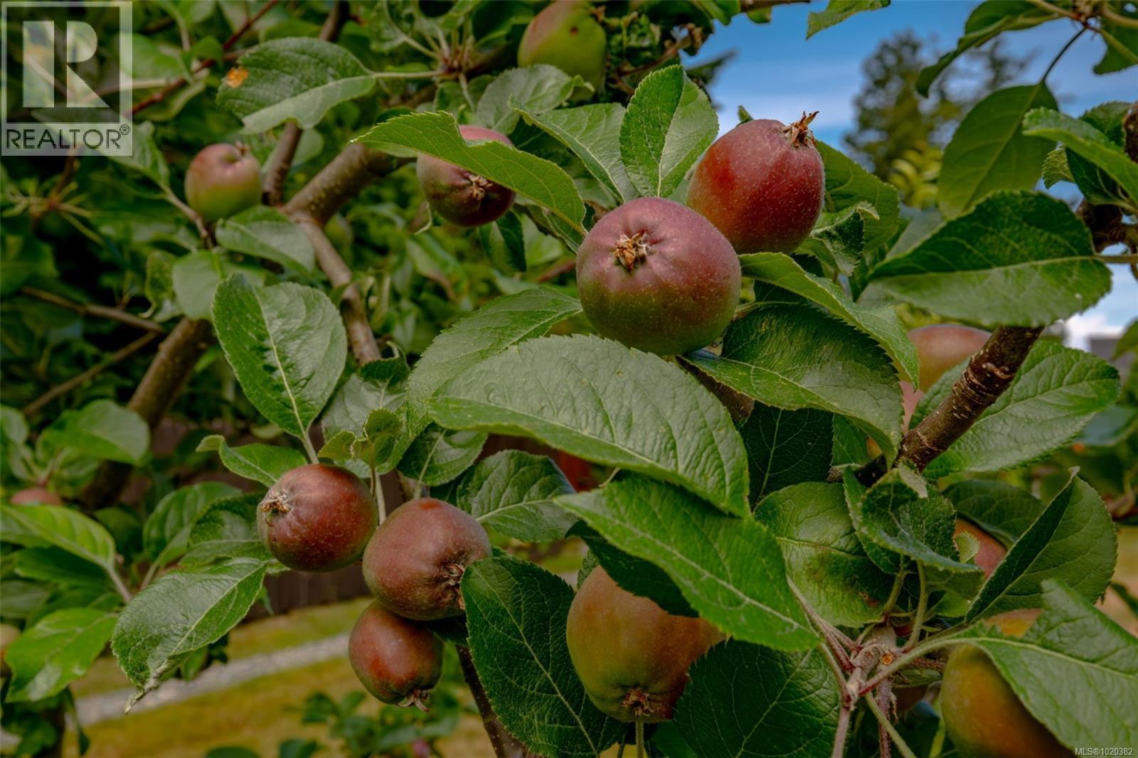 108 Allview Lane, Bowser