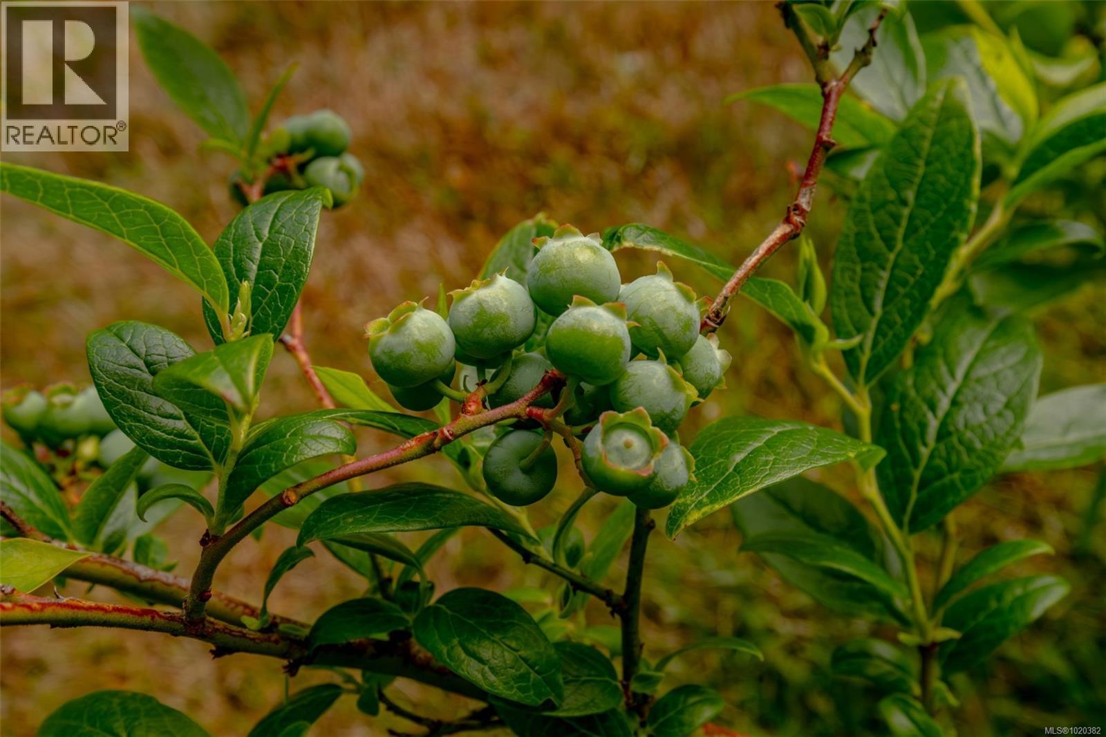 108 Allview Lane, Bowser