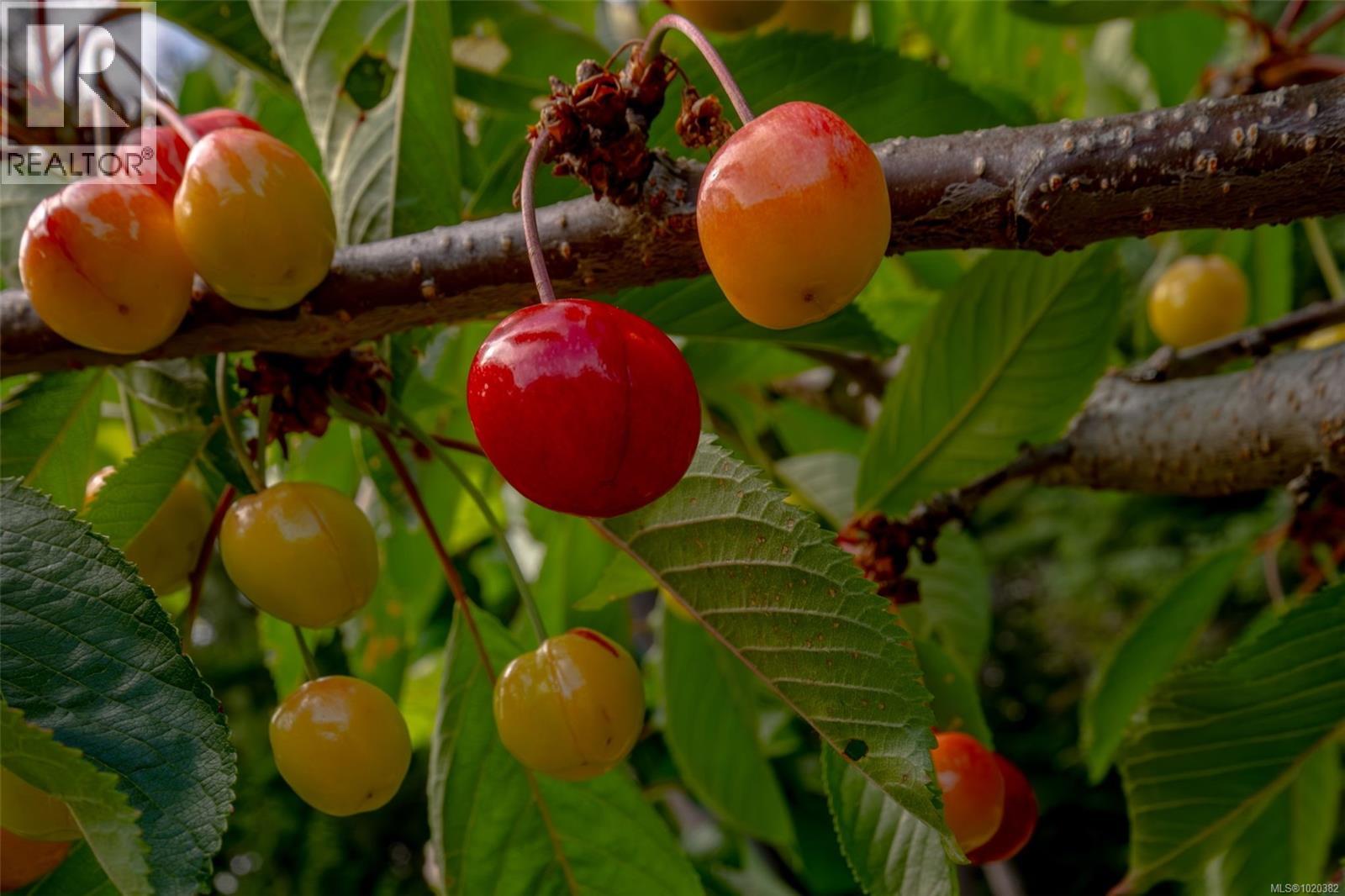 108 Allview Lane, Bowser