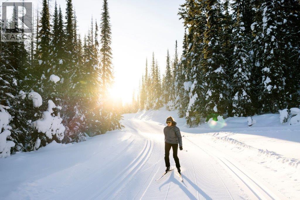 148 Silver Lode Lane Unit# 309, Silver Star