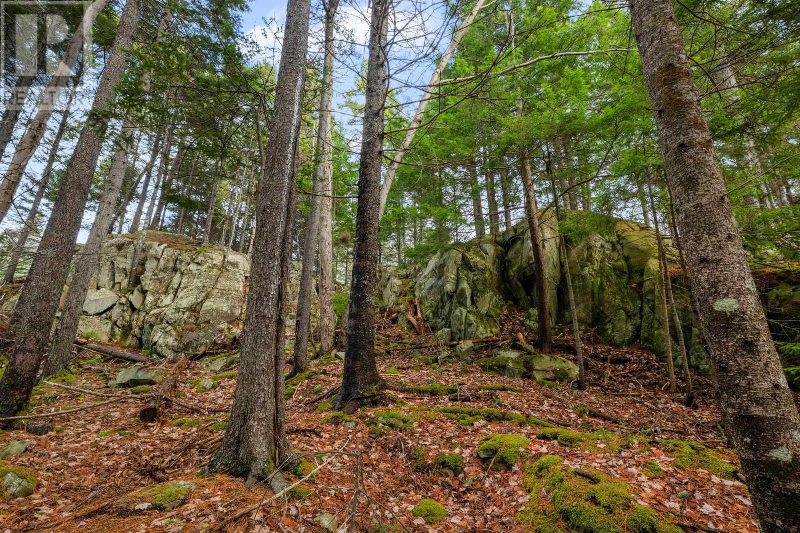 Property 33 of 33 of 49 Village Crescent