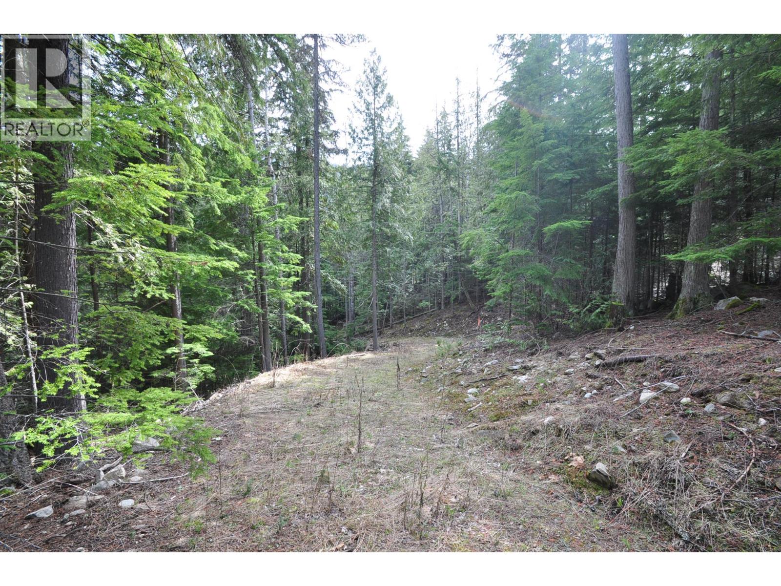 2835 SILVER KING Road, Nelson