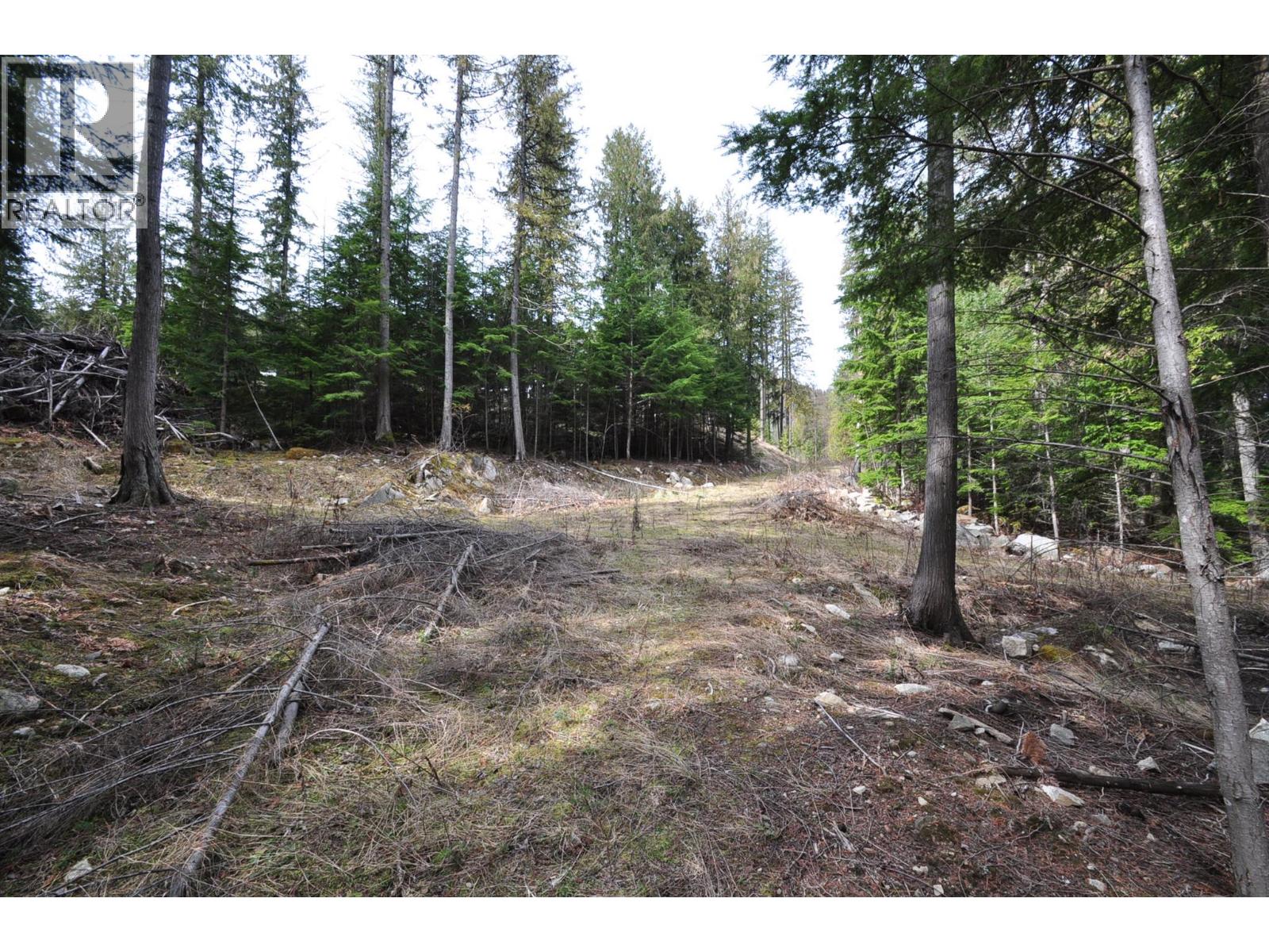 2835 SILVER KING Road, Nelson