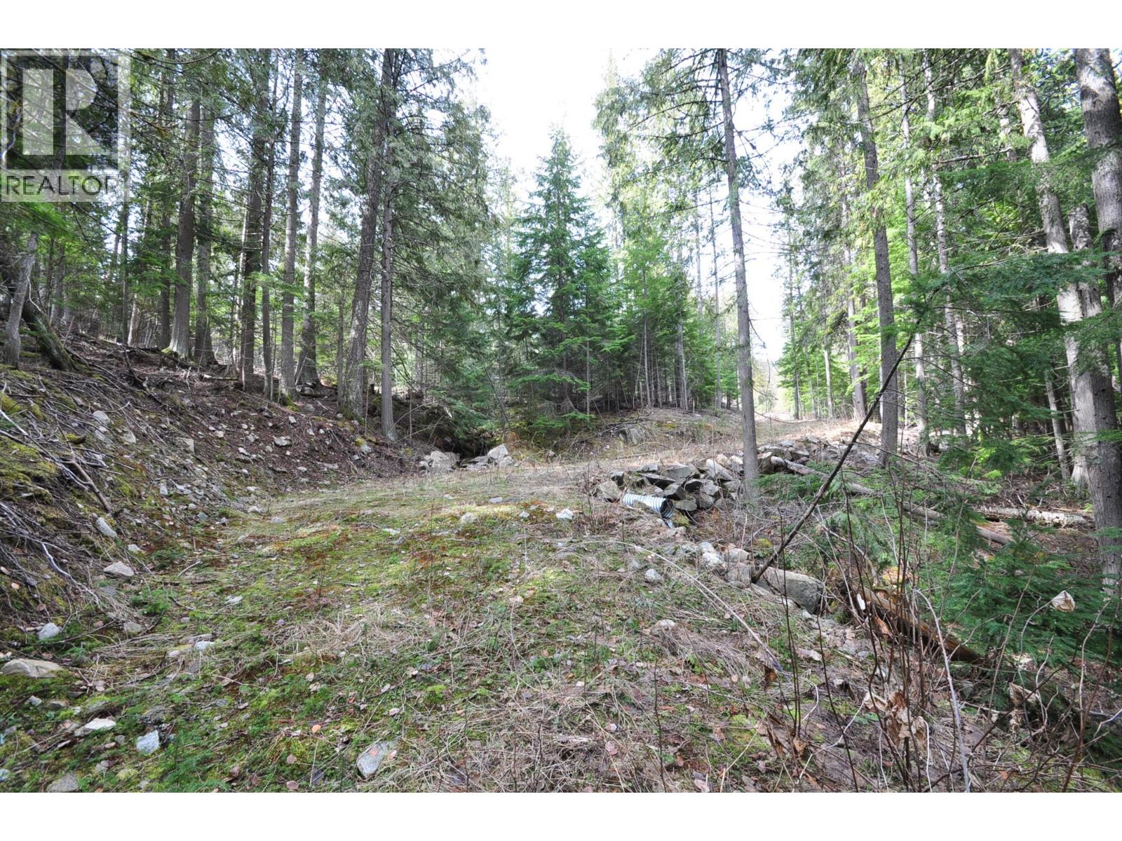 2835 SILVER KING Road, Nelson