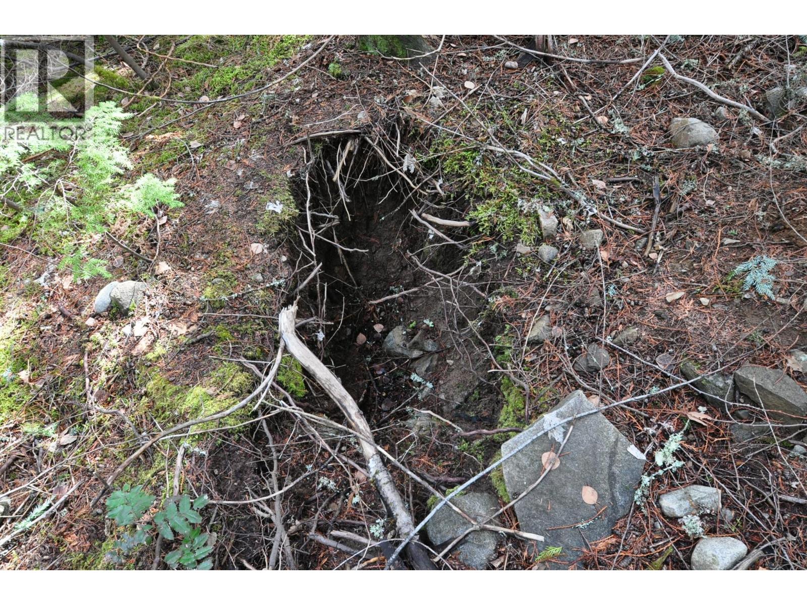 2835 SILVER KING Road, Nelson