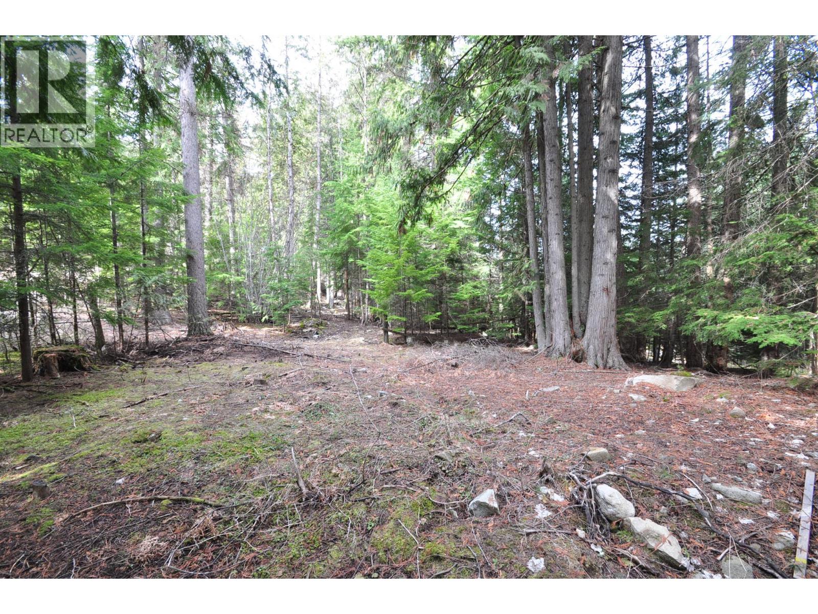 2835 SILVER KING Road, Nelson