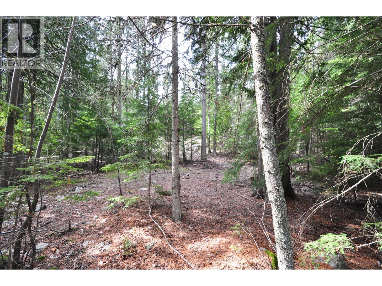 2835 SILVER KING Road, Nelson