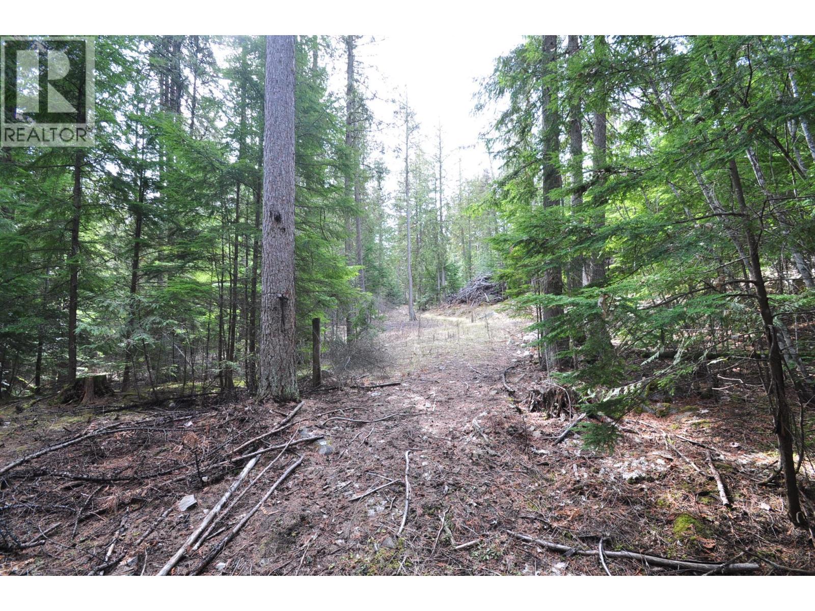 2835 SILVER KING Road, Nelson