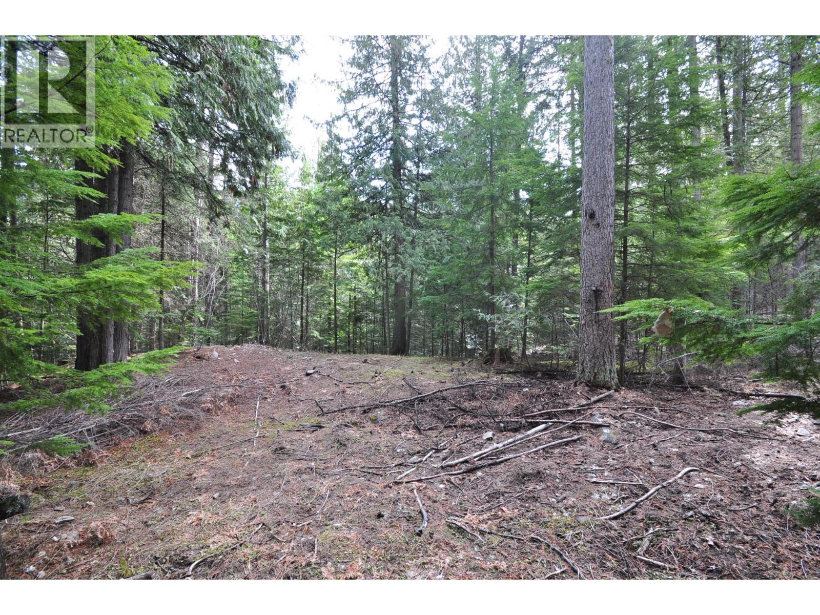 2835 SILVER KING Road, Nelson