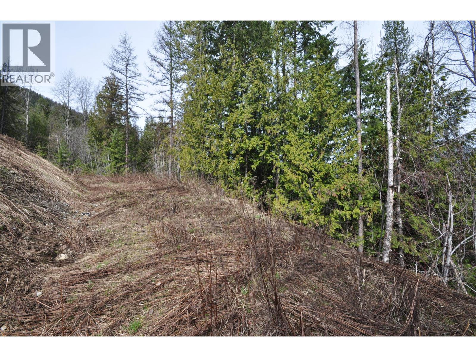 2835 SILVER KING Road, Nelson