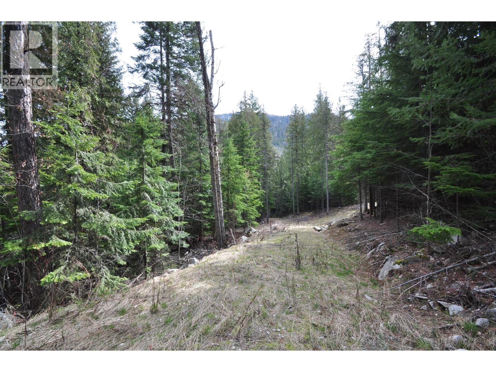 2835 SILVER KING Road, Nelson