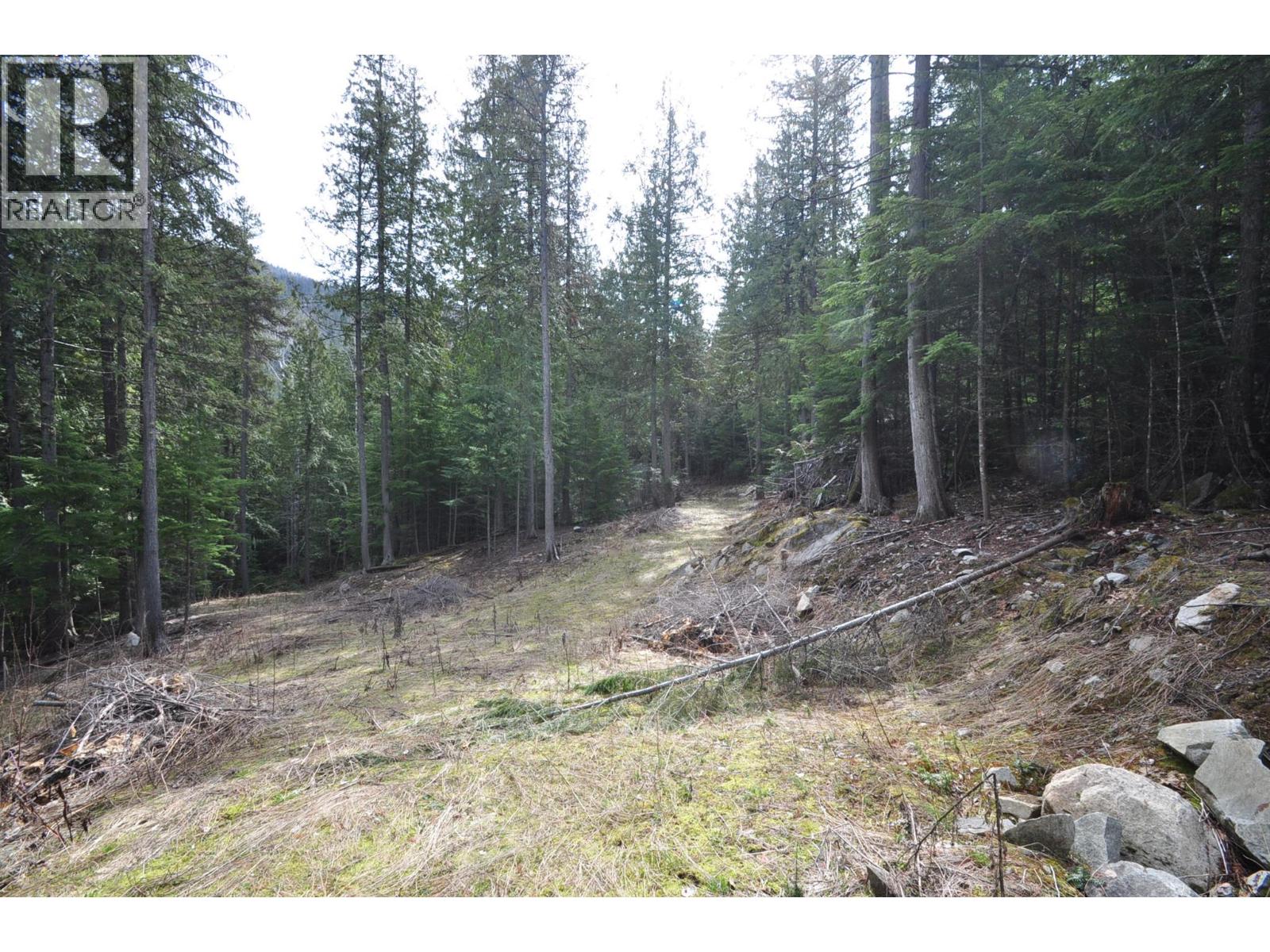 2835 SILVER KING Road, Nelson