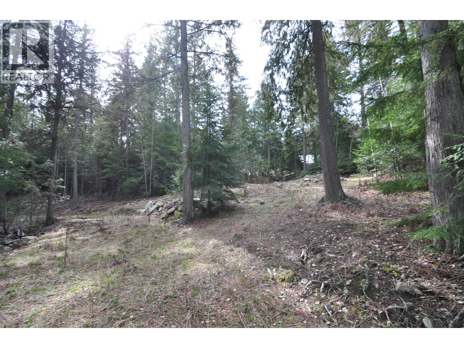 2835 SILVER KING Road, Nelson