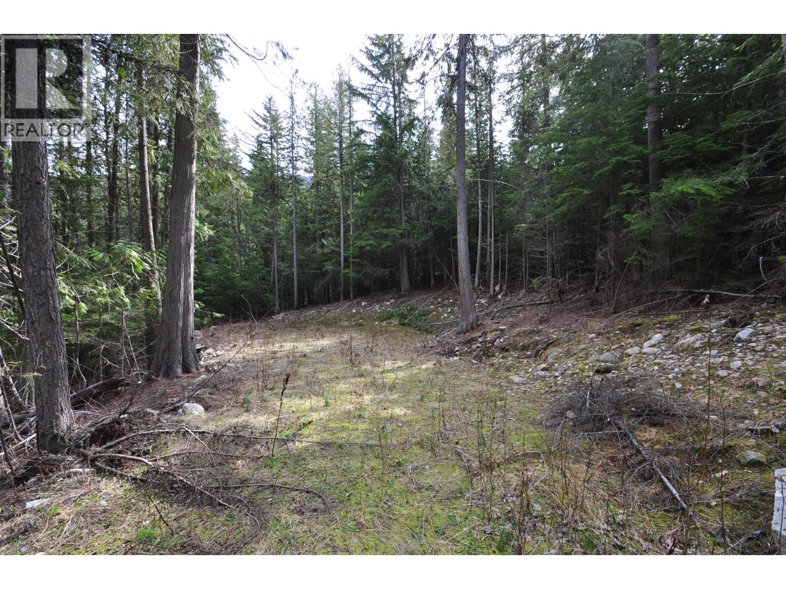 2835 SILVER KING Road, Nelson