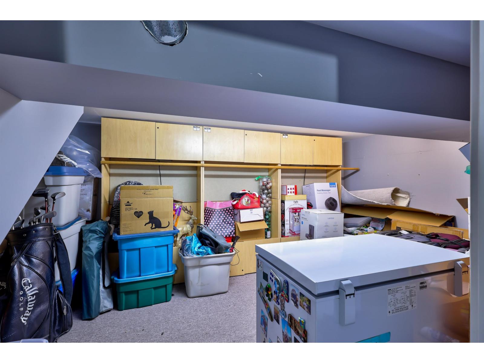 8222 NECHAKO Drive, Delta