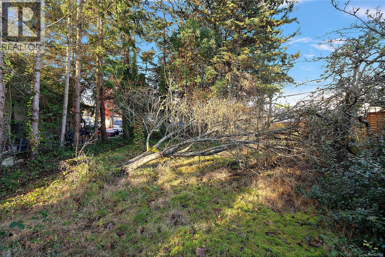  10211 Resthaven Drive, Sidney