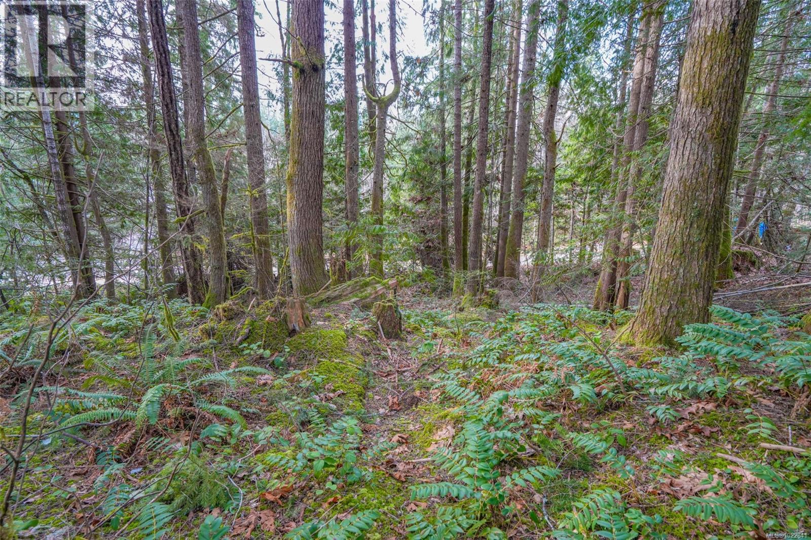 10440 Wilson Rd, Port Alberni