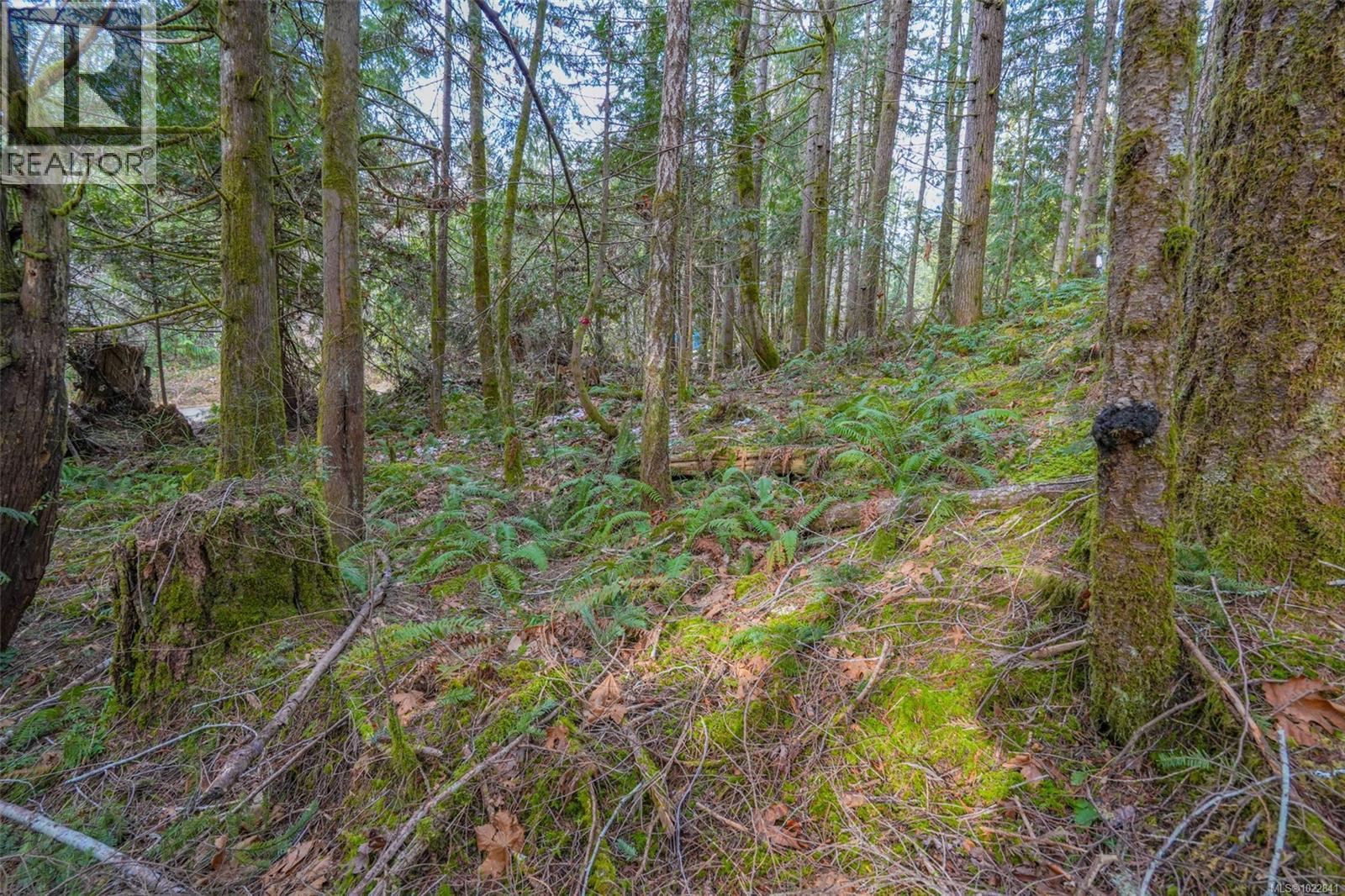 10440 Wilson Rd, Port Alberni